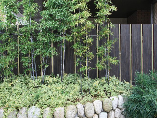こだわり職人竹をはさんだ大和塀は、和の植栽と相性抜群