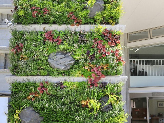 建物の外壁を壁面緑化。脱着可能な専用鉢なので季節に合わせて楽しめます