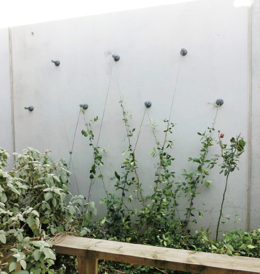 簡単施工でリーズナブルなワイヤータイプの壁面緑化システム タカショー施工事例紹介